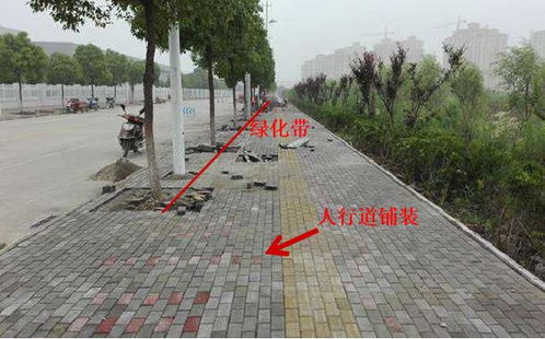 市政工程規范要求、識圖算量與施工工藝解讀