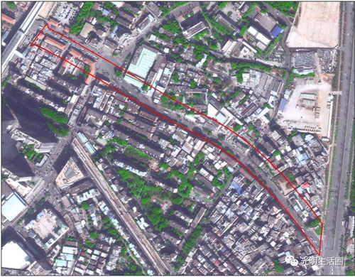 光明大街市政工程房屋征收補(bǔ)償方案最新通告