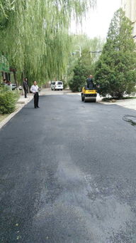 市政工程管理處 集中養(yǎng)護(hù)，筑牢城市運(yùn)行基石